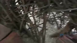 Наслаждайтесь Paris White Museum Fingering - Big Ass Exhibitionist Shower - порно видео на ONE-PORN.COM
