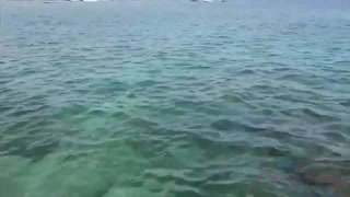 Наслаждайтесь Jill Kassidy - Beach BJ & Rough Home Fuck with Hot GF - порно видео на ONE-PORN.COM